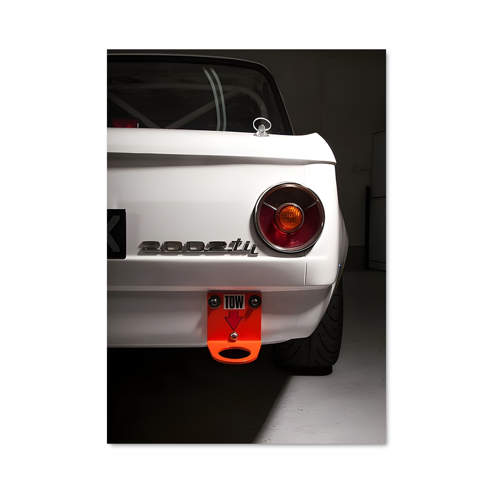 Poster Flash Car